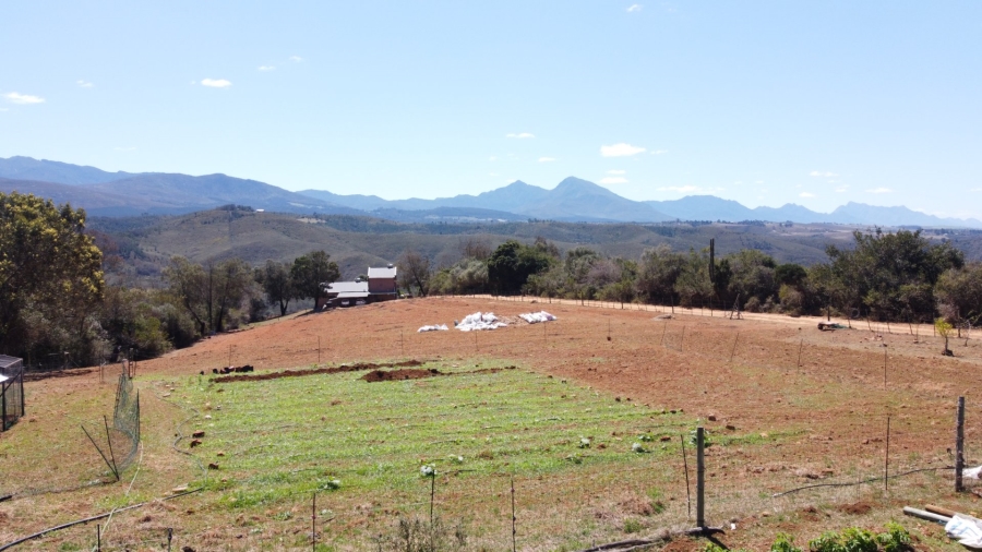 Commercial Property for Sale in Friemersheim Western Cape